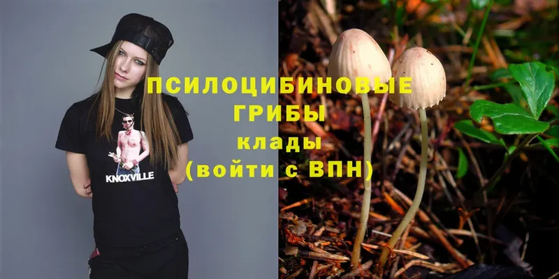 Псилоцибиновые грибы Magic Shrooms  Зверево 